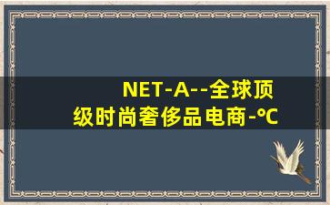 NET-A--全球顶级时尚奢侈品电商-℃