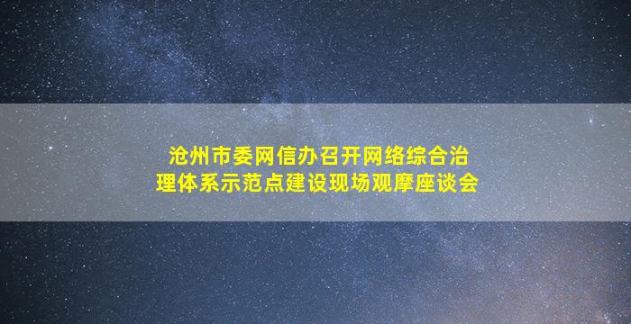 沧州市委网信办召开网络综合治理体系示范点建设现场观摩座谈会