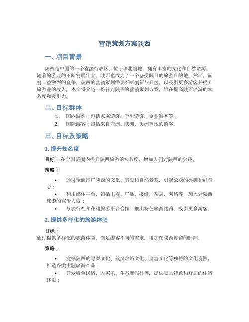 成功的企业营销策划案例